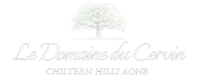 Le Domaine Du Cervin Logo