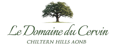 Caleb Logo